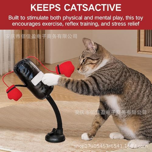 Interactive cat wand toy with black flexible wand, red plush teasers, circular base