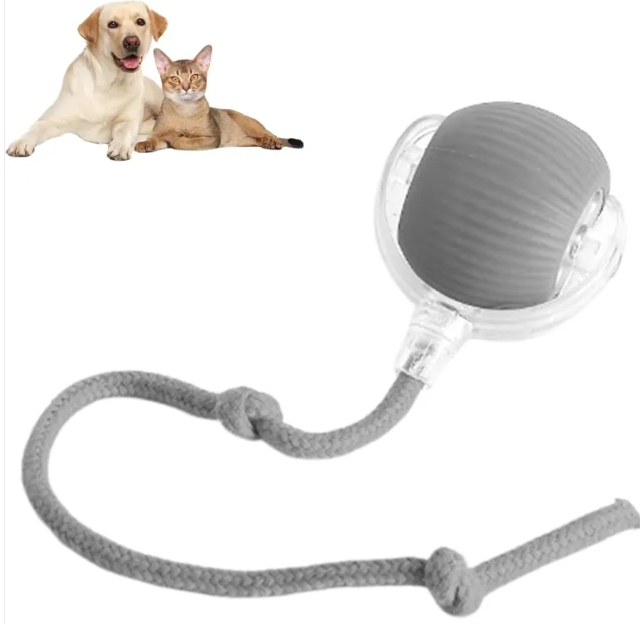 Gray rolling pet ball toy with clear housing and fuzzy rope