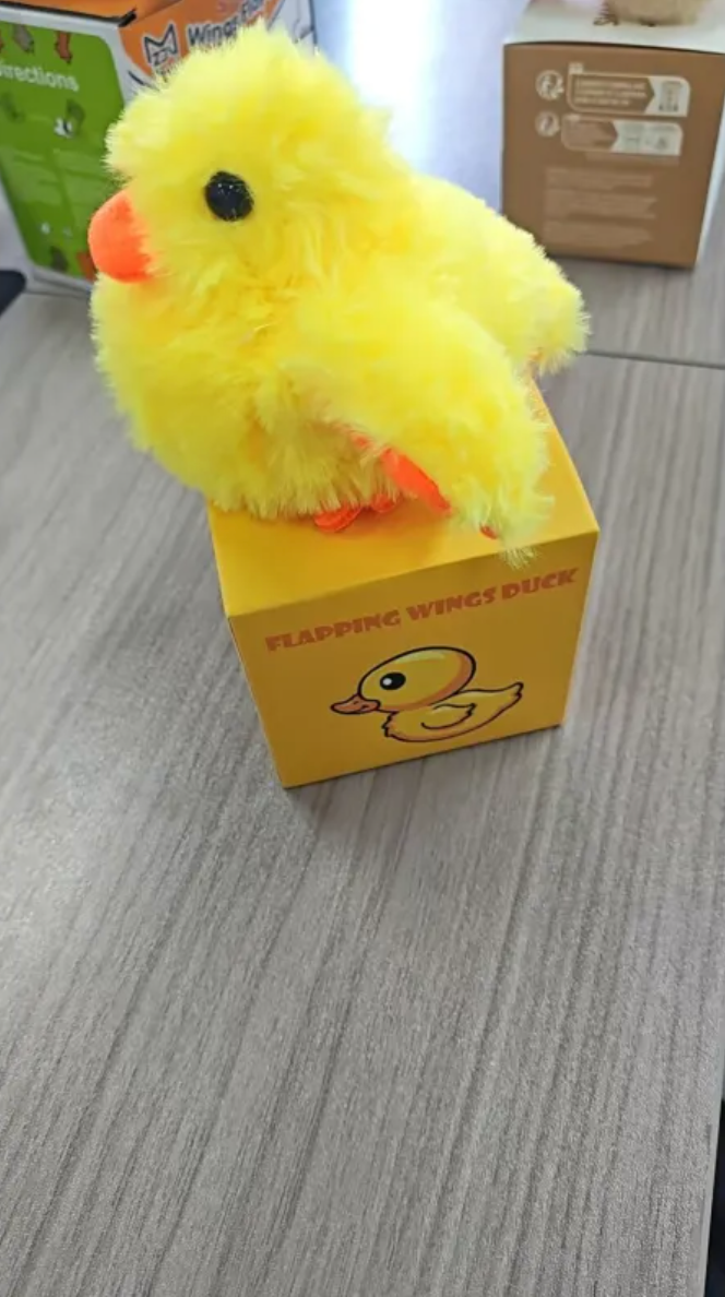 Battery plush bird cat toy, yellow duck plush in open box