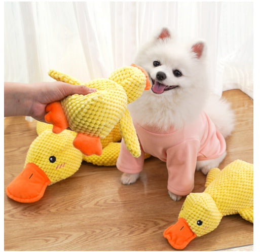 Yellow plush duck toy held by hand, with small white dog beside it