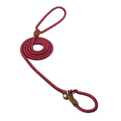 Nylon Pup Lead Set