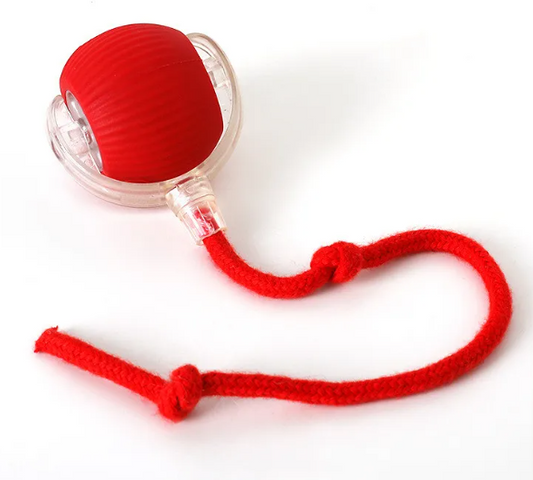 PurrPlay self-rolling cat toy ball with red plush shell and clear outer ball, attached red rope