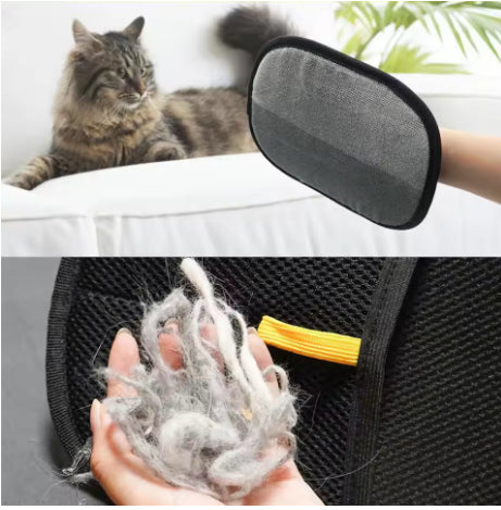 Pet hair remover glove brushing cat fur on sofa, gray shed hair on mesh