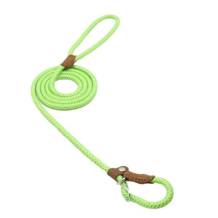 Green nylon dog collar and lead set with adjustable PU leather trim and metal clasp