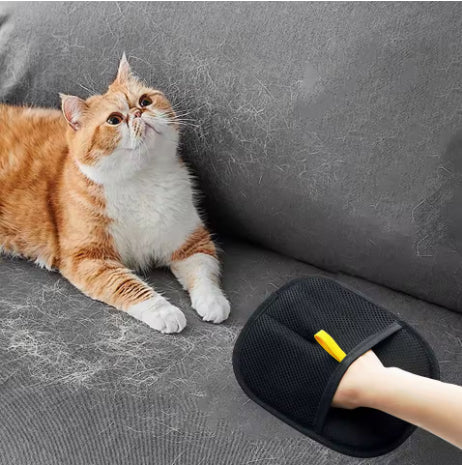 Pet hair remover glove on arm near orange-and-white cat on couch