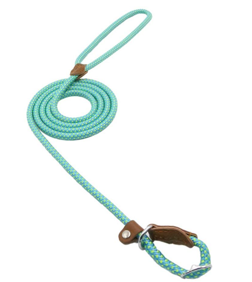 Adjustable nylon dog collar and coiled leash set, turquoise with PU leather trim