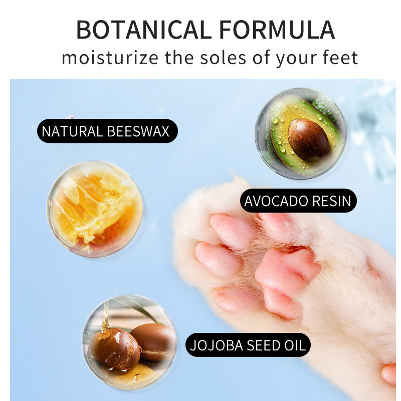 Pet paw balm cream with botanical ingredients callouts above a dog paw