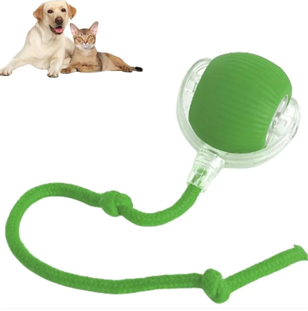 Green rolling pet ball toy with clear housing and fuzzy rope