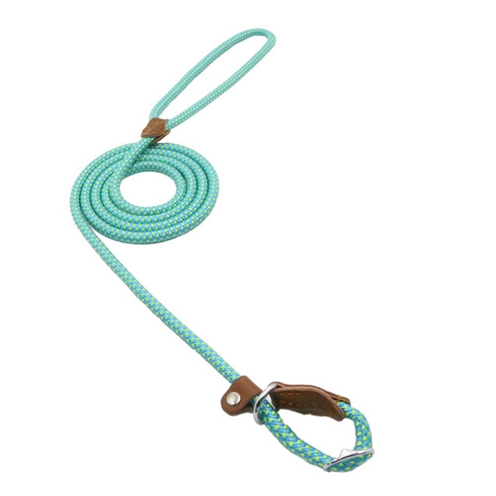 Teal nylon dog collar and matching lead with brown PU trim and turquoise hardware.