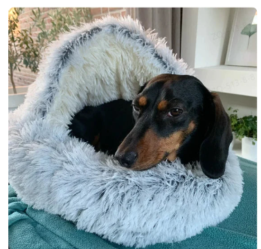 Light blue plush pet bed with raised rim and tunnel entrance