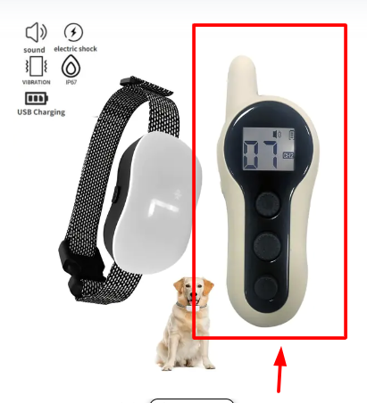 Dog training collar receiver with screen and two-button control, light gray body