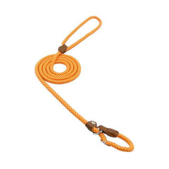 Nylon Pup Lead Set