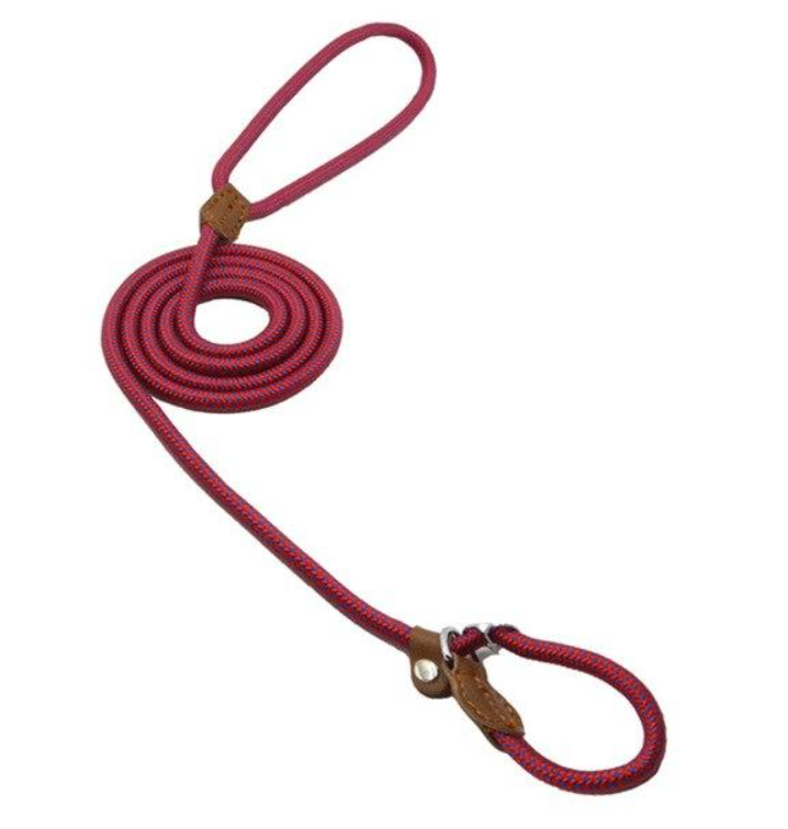 Adjustable nylon dog collar and coiled leash set, red with PU leather trim
