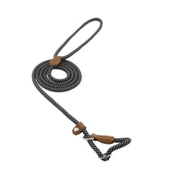 Nylon Pup Lead Set