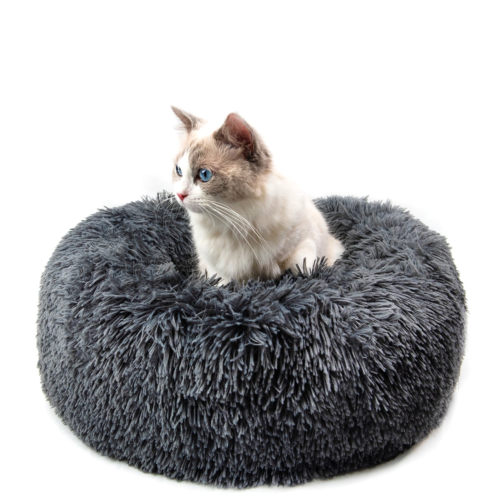 Dark grey plush donut pet bed with raised rim; cat centered on the bed.