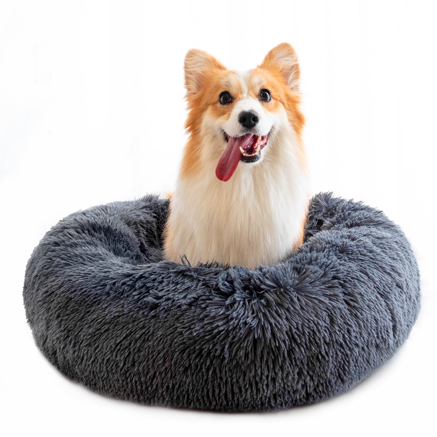 Dark grey plush donut pet bed with raised rim; dog sitting in the center.