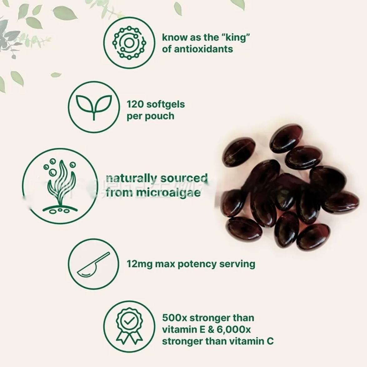 Astaxanthin soft capsules pouch with dark softgels and antioxidant info icons