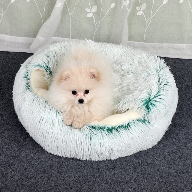 White plush pet bed with raised rim and tunnel entrance, small dog resting inside.