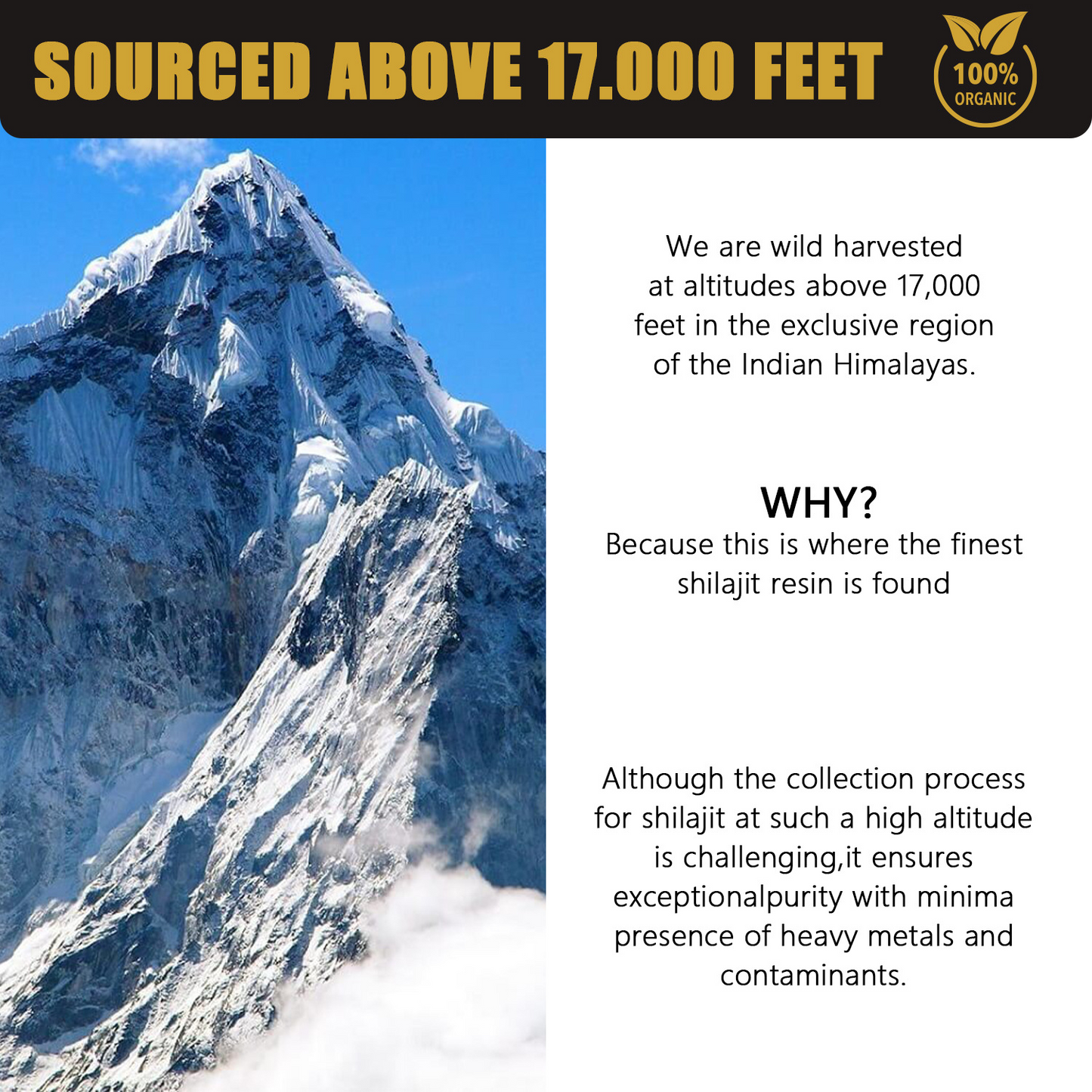 Shilajit resin label showing “Sourced above 17,000 feet” and organic seal