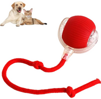 Pet Supplies