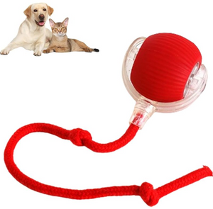 Pet Supplies
