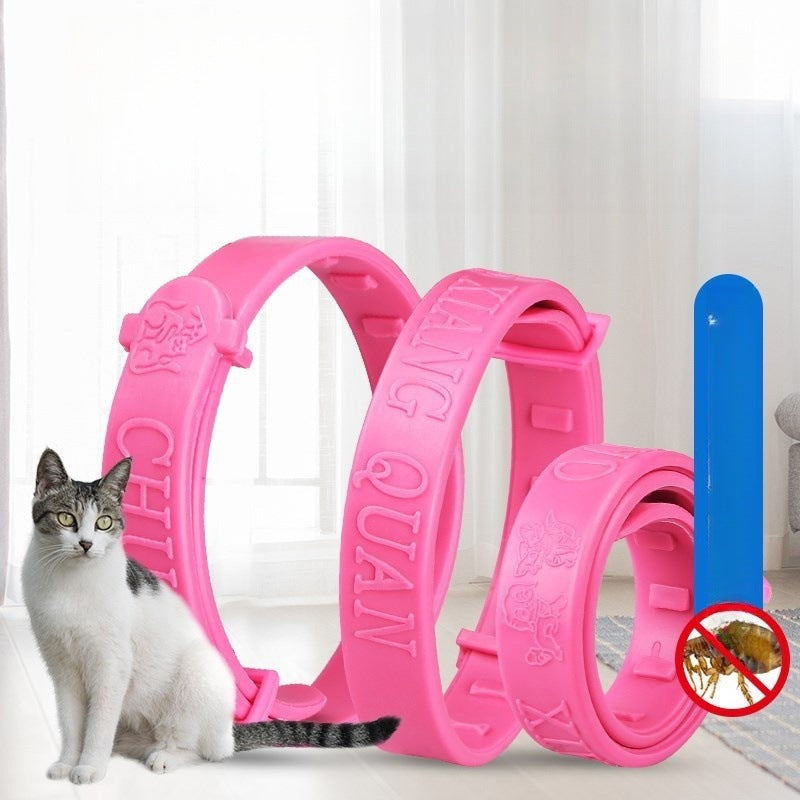 Pink pet flea and tick repellent collar set on a small gray cat