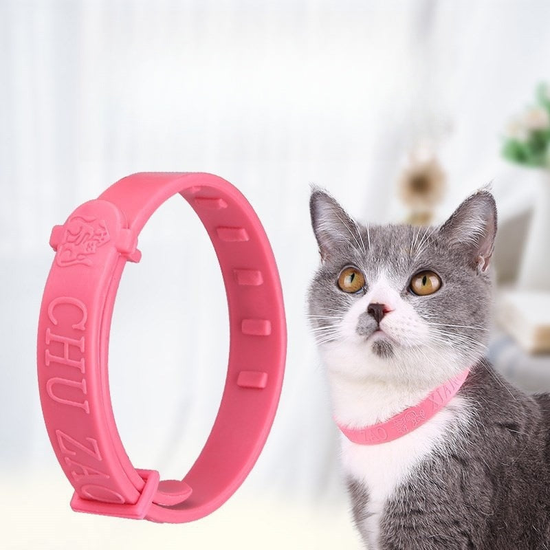 Pink pet flea and tick repellent collar on a gray-and-white cat