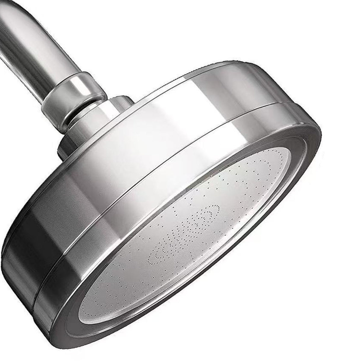 Stainless steel handheld shower head with spray plate and inlet connection