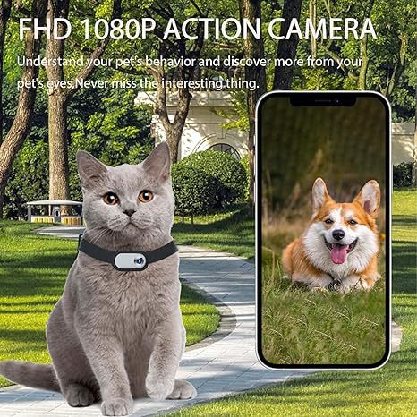 Gray cat wearing a dark pet collar video camera outdoors