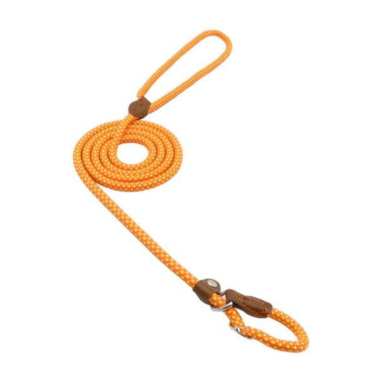 Orange nylon dog collar and matching lead with brown PU trim and metal clips.