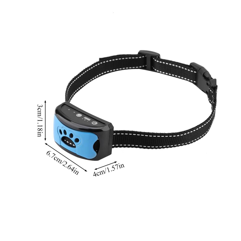 Black dog training collar with blue accent panel and adjustable nylon strap