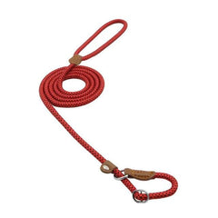 Nylon Pup Lead Set