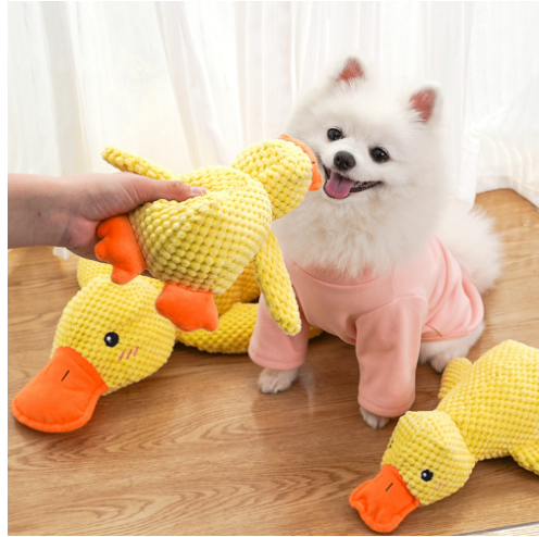 Yellow plush duck toy held by hand, beside small white dog wearing pink outfit