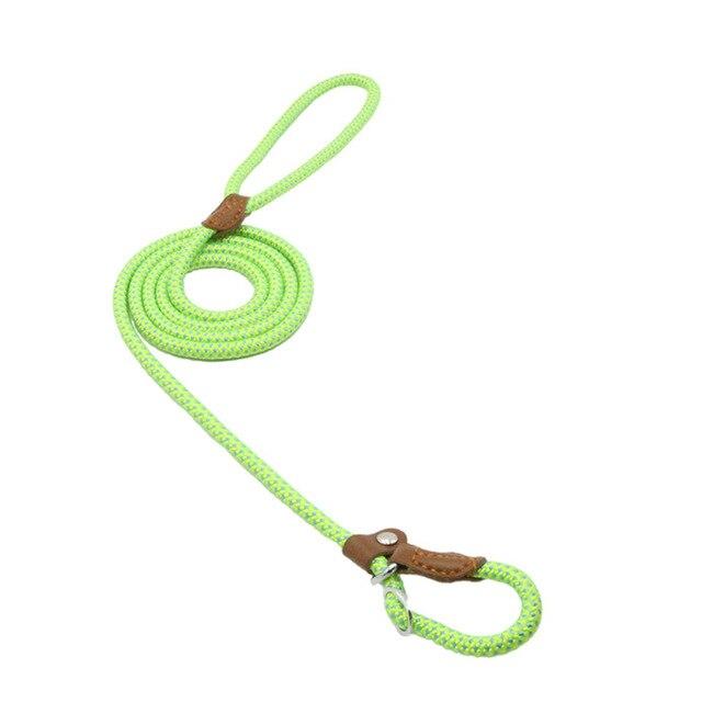 Light green nylon dog collar and leash set with brown PU trim and metal clip.