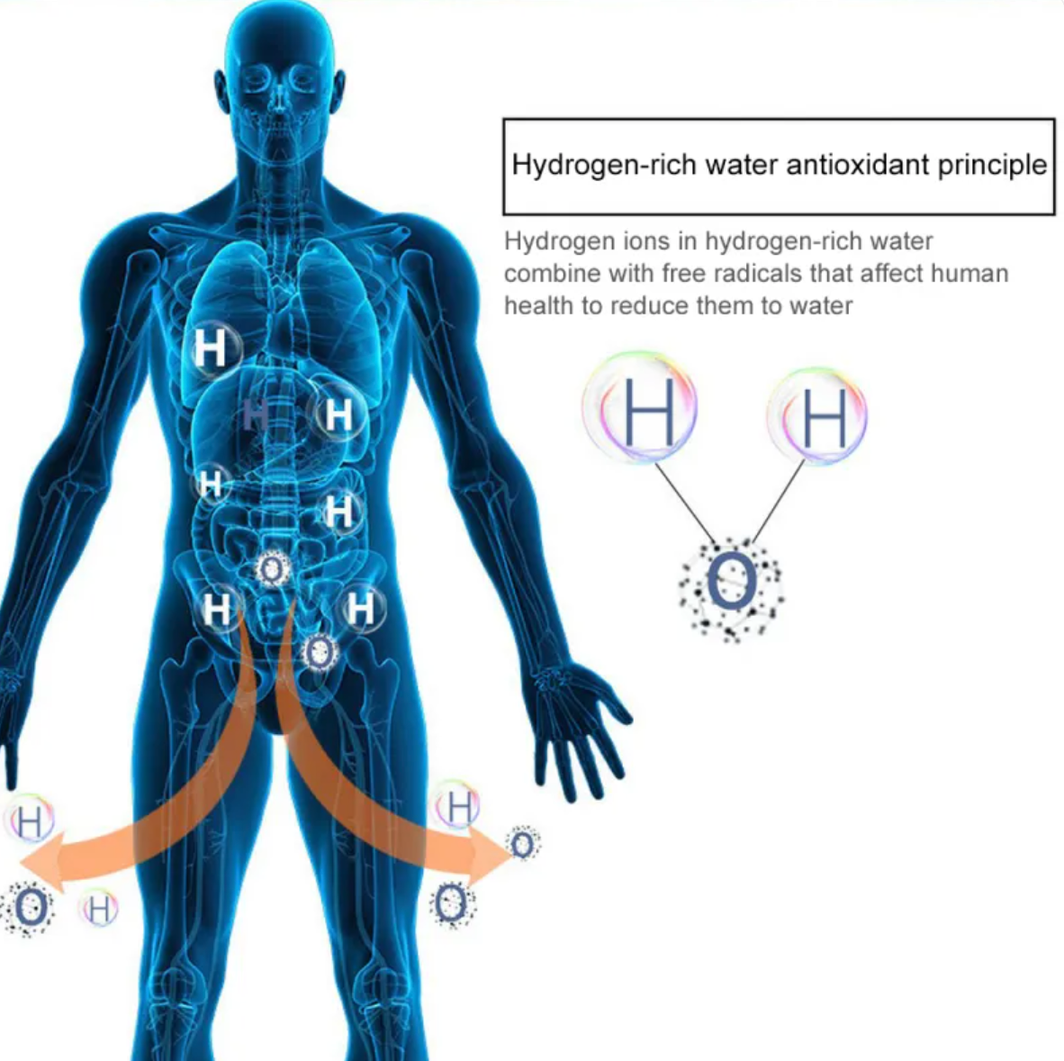Hydrogen water antioxidant principle infographic with hydrogen symbols and human silhouette