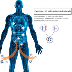 Hydrogen Water Cup – Smart Antioxidant Hydration Bottle