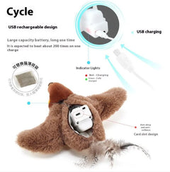 USB rechargeable cat toy with charging cable and features highlighted on a white background