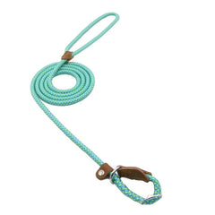 Nylon Pup Lead Set