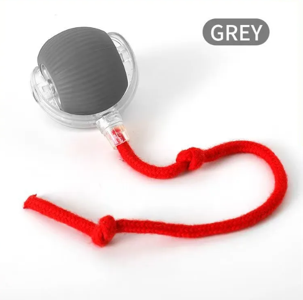 Self-rolling cat toy ball with dark gray shell and red fabric rope