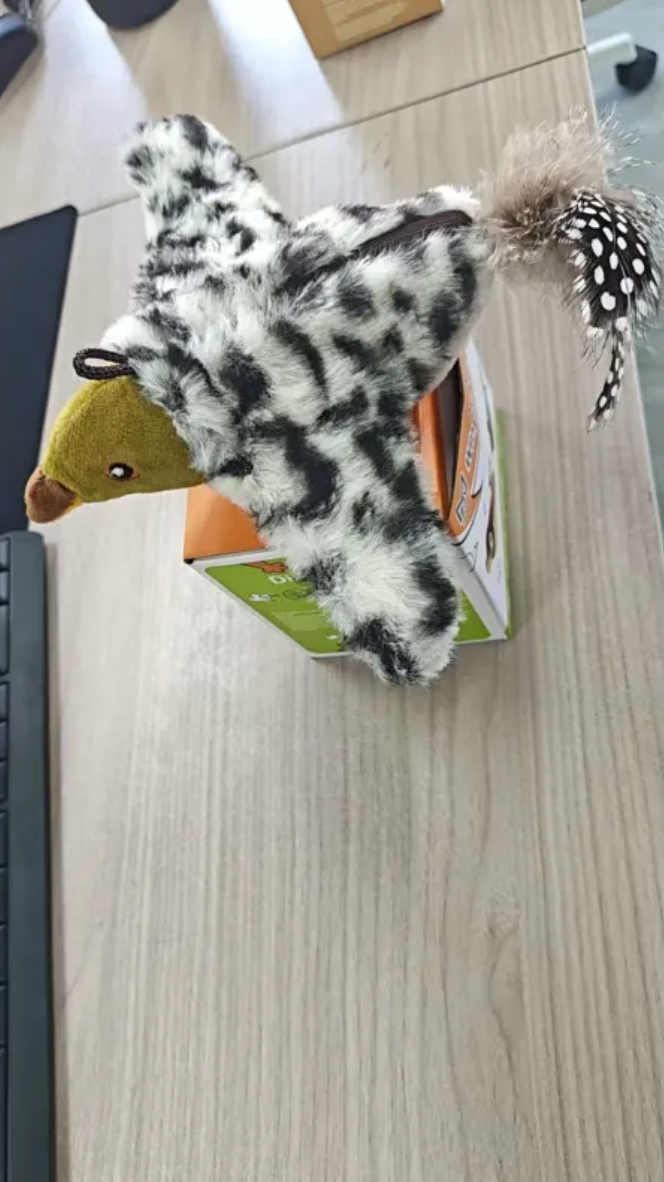 Plush bird cat toy with spotted black-and-white body, brown face patch, and chain detail