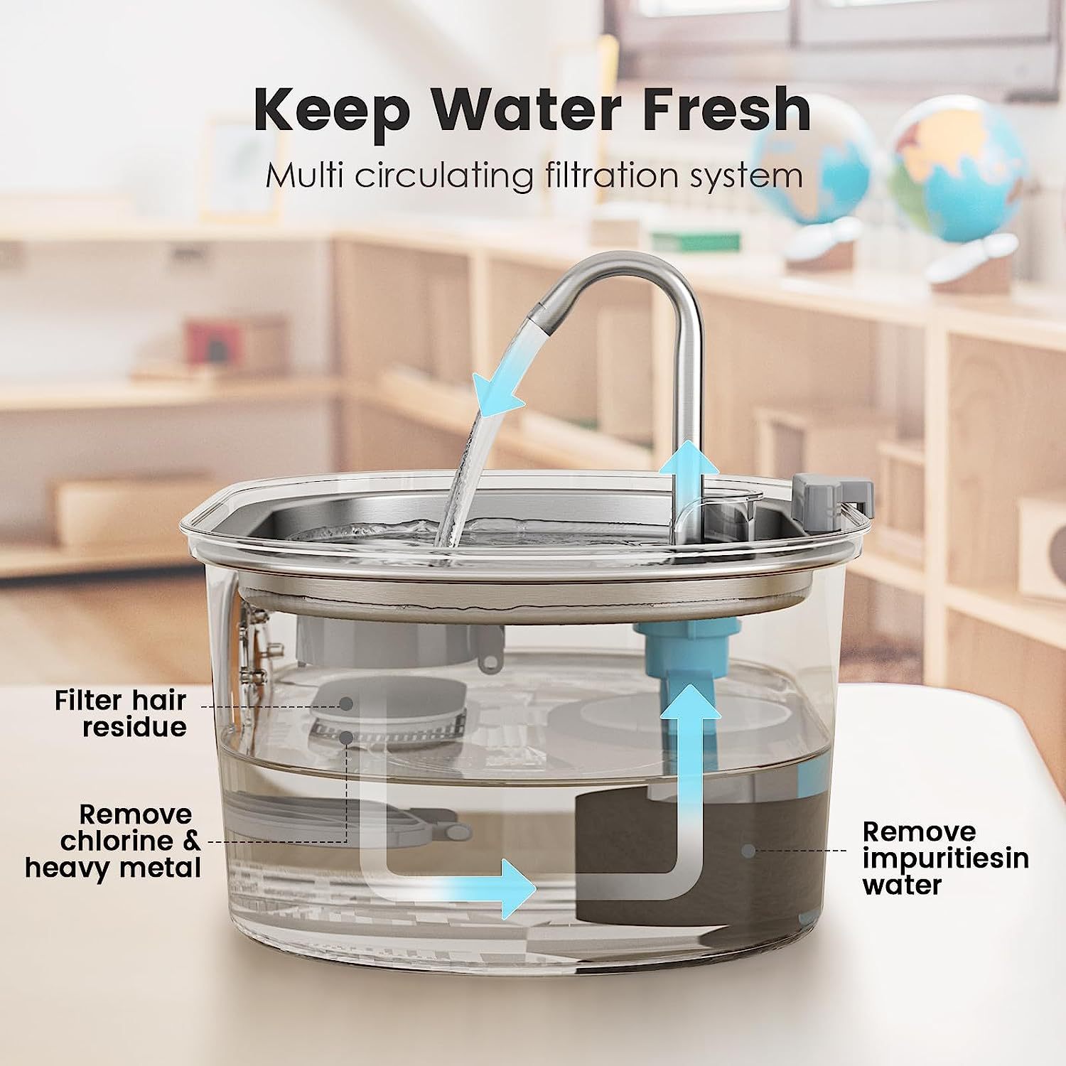 Transparent pet water fountain tank with filtration chamber and curved pump spout