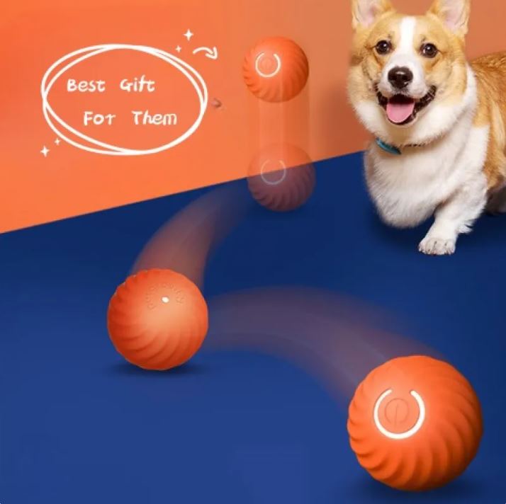 Orange gravity jumping dog ball with power button, shown with dog