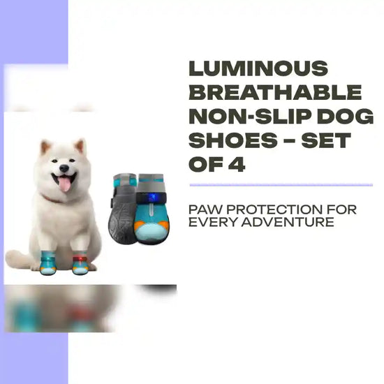 Luminous Breathable Non-Slip Dog Shoes &ndash; Set of 4 by@Outfy