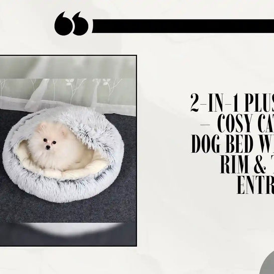 2-in-1 Plush Pet Bed &ndash; Cosy Cat &amp; Small Dog Bed with Raised Rim &amp; Tunnel Entrance by@Outfy